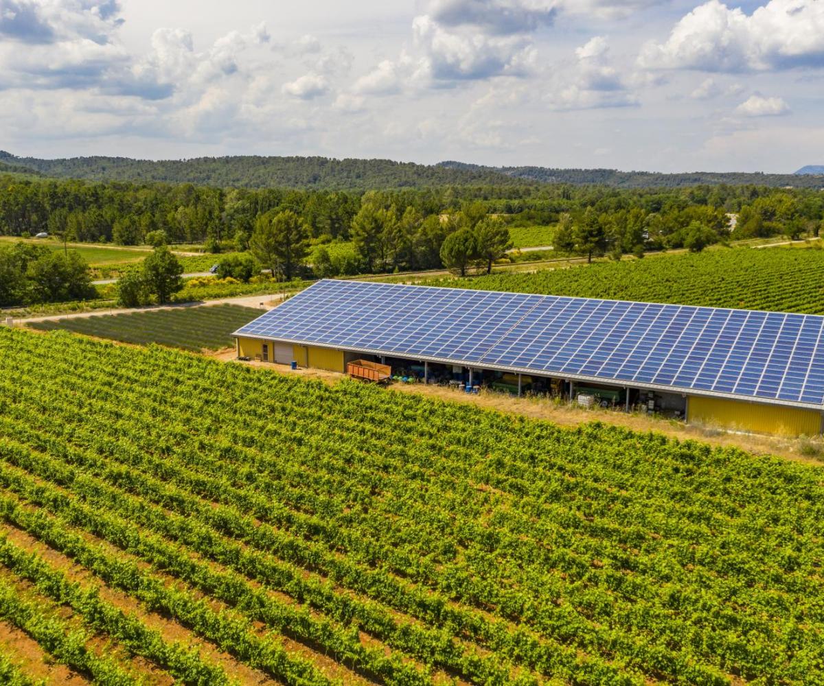 Hangar photovoltaïque - Panneaux solaires - Solutions d'énergies renouvelables pour les agriculteurs