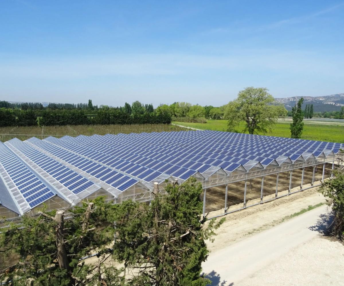 Agrivoltaïsme et serres photovoltaïques - Panneaux solaires pour l'agriculture - Solutions d'énergies renouvelables pour les agriculteurs, industriels et collectivités