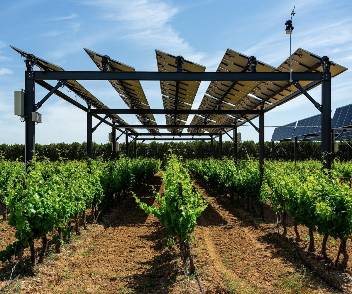 Agrivoltaïsme et persiennes photovoltaïques - Panneaux solaires pour l'agriculture - Solutions d'énergies renouvelables pour les agriculteurs, industriels et collectivités
