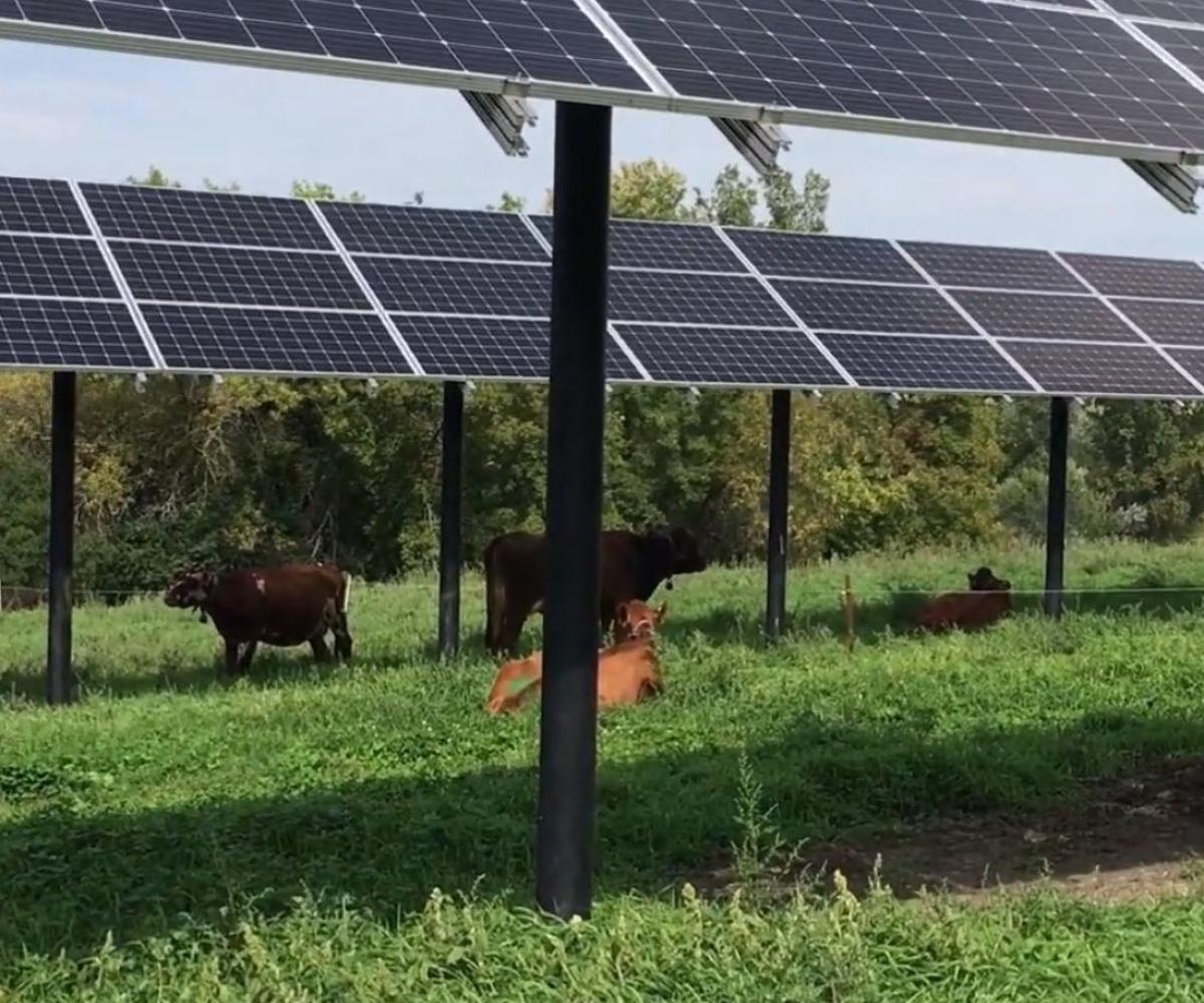 Centrale photovoltaïque au sol et panneaux solaires au sol - Solutions d'énergies renouvelables pour les agriculteurs, industriels et collectivités