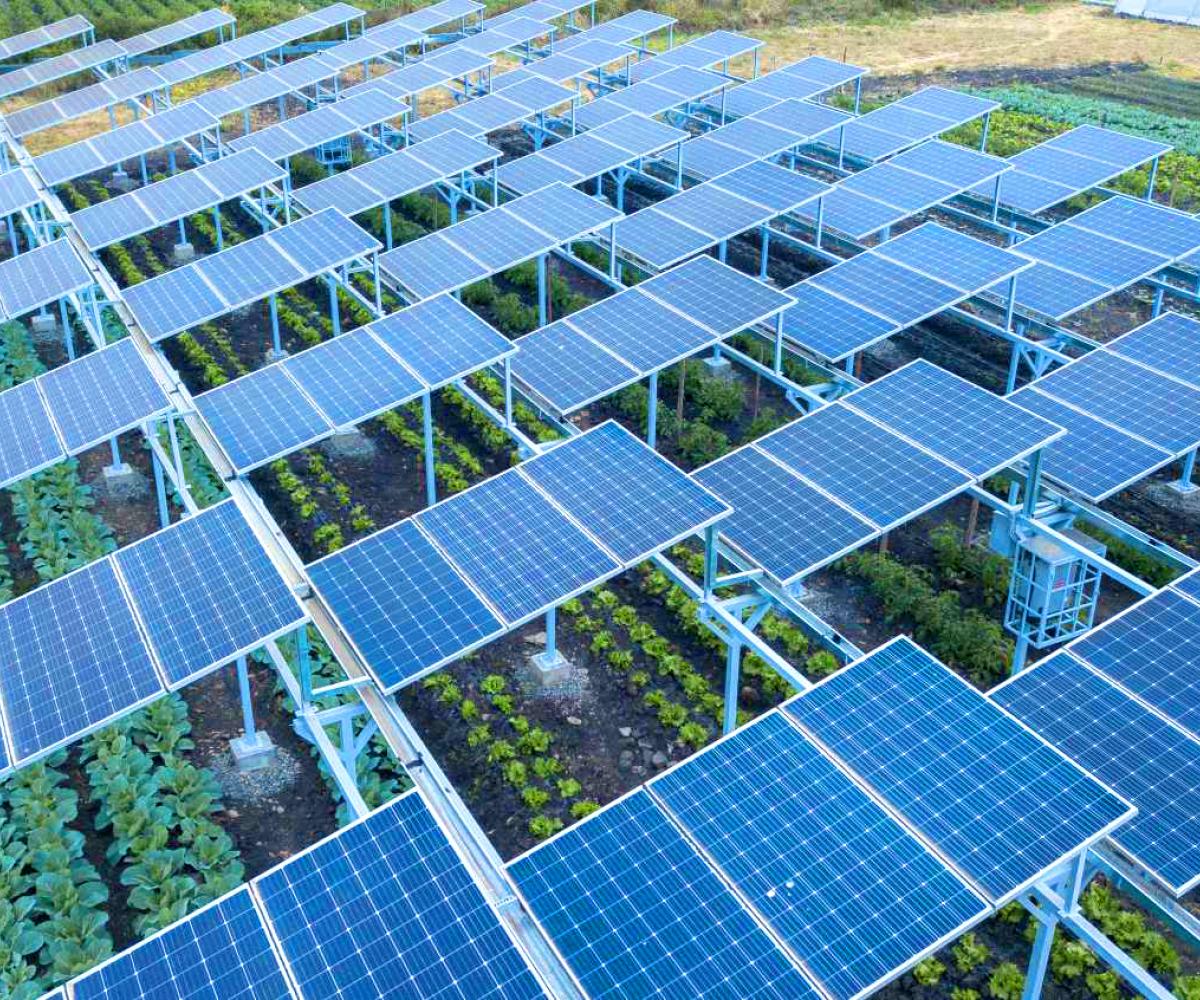 Offre et solution serre photovoltaïque et agrivoltaïsme - Panneaux solaires pour l'agriculture - Solutions d'énergies renouvelables pour les agriculteurs, industriels et collectivités