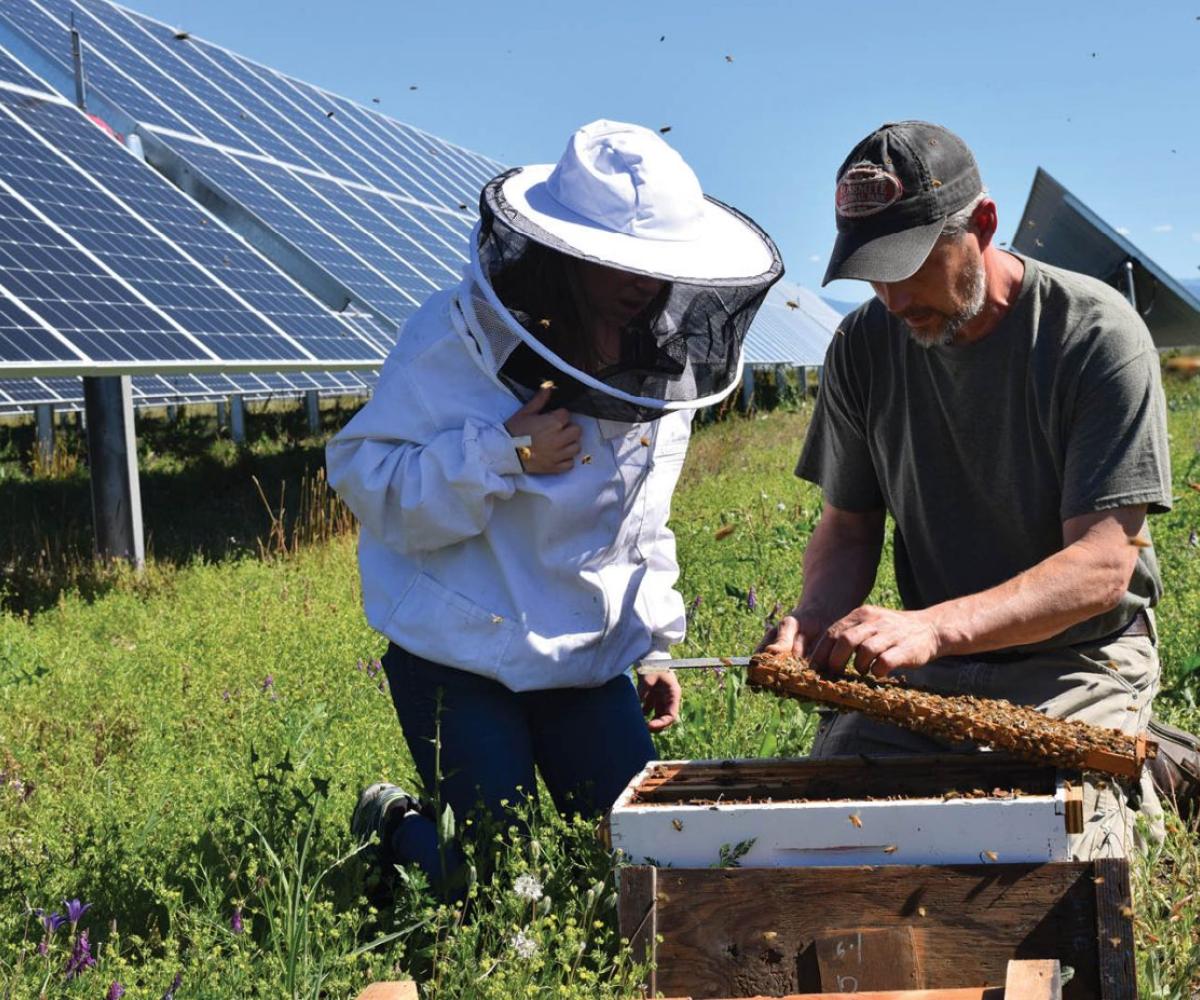 Agrivoltaïsme et persiennes photovoltaïques - Panneaux solaires pour l'agriculture - Solutions d'énergies renouvelables pour les agriculteurs, industriels et collectivités