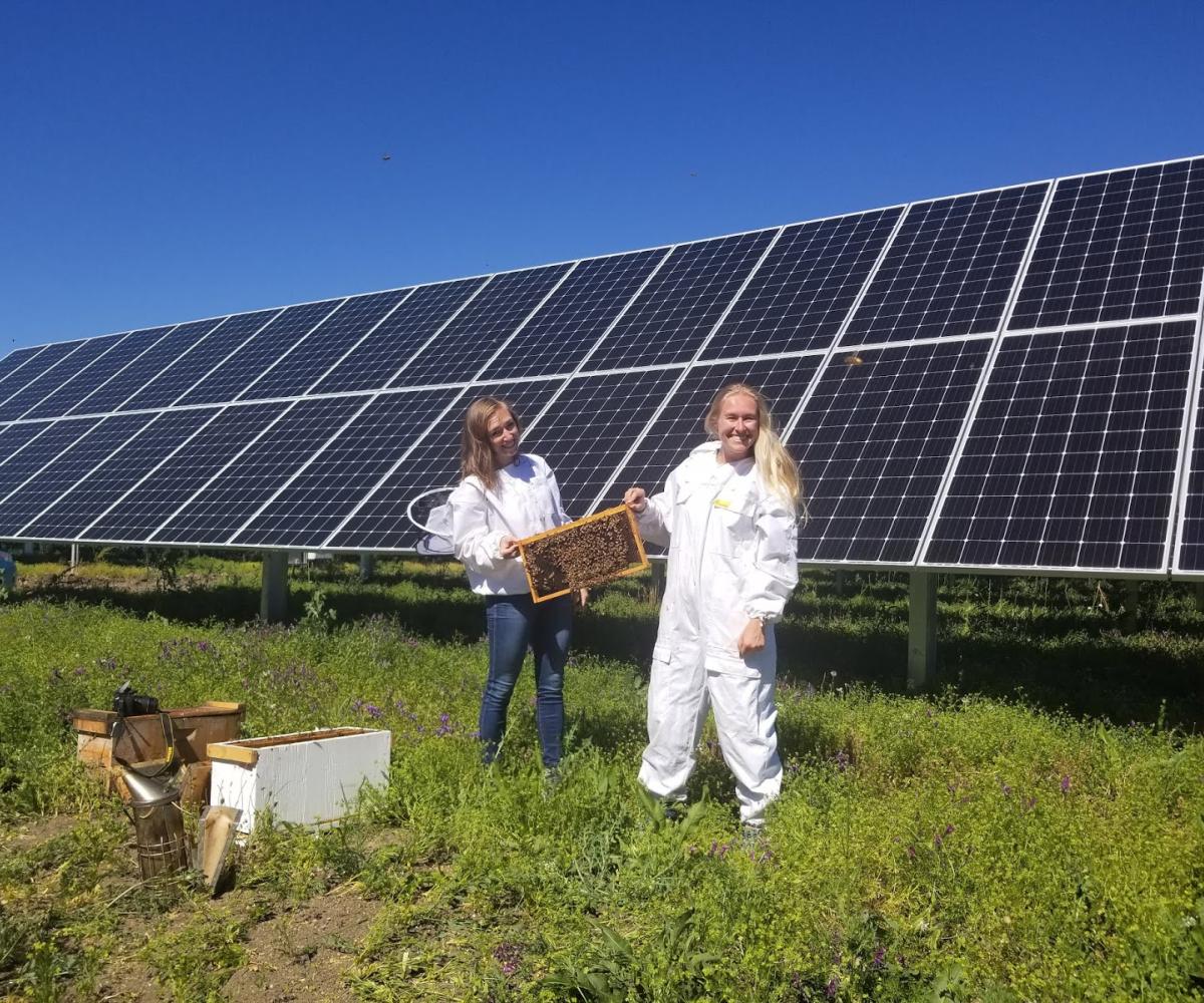 Centrale photovoltaïque au sol et panneaux solaires au sol - Solutions d'énergies renouvelables pour les agriculteurs, industriels et collectivités