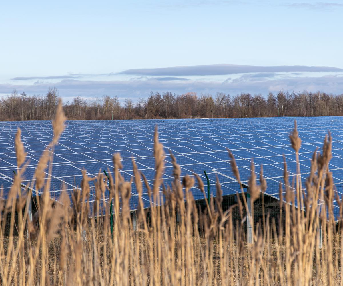 Centrale photovoltaïque au sol et panneaux solaires au sol - Solutions d'énergies renouvelables pour les agriculteurs, industriels et collectivités