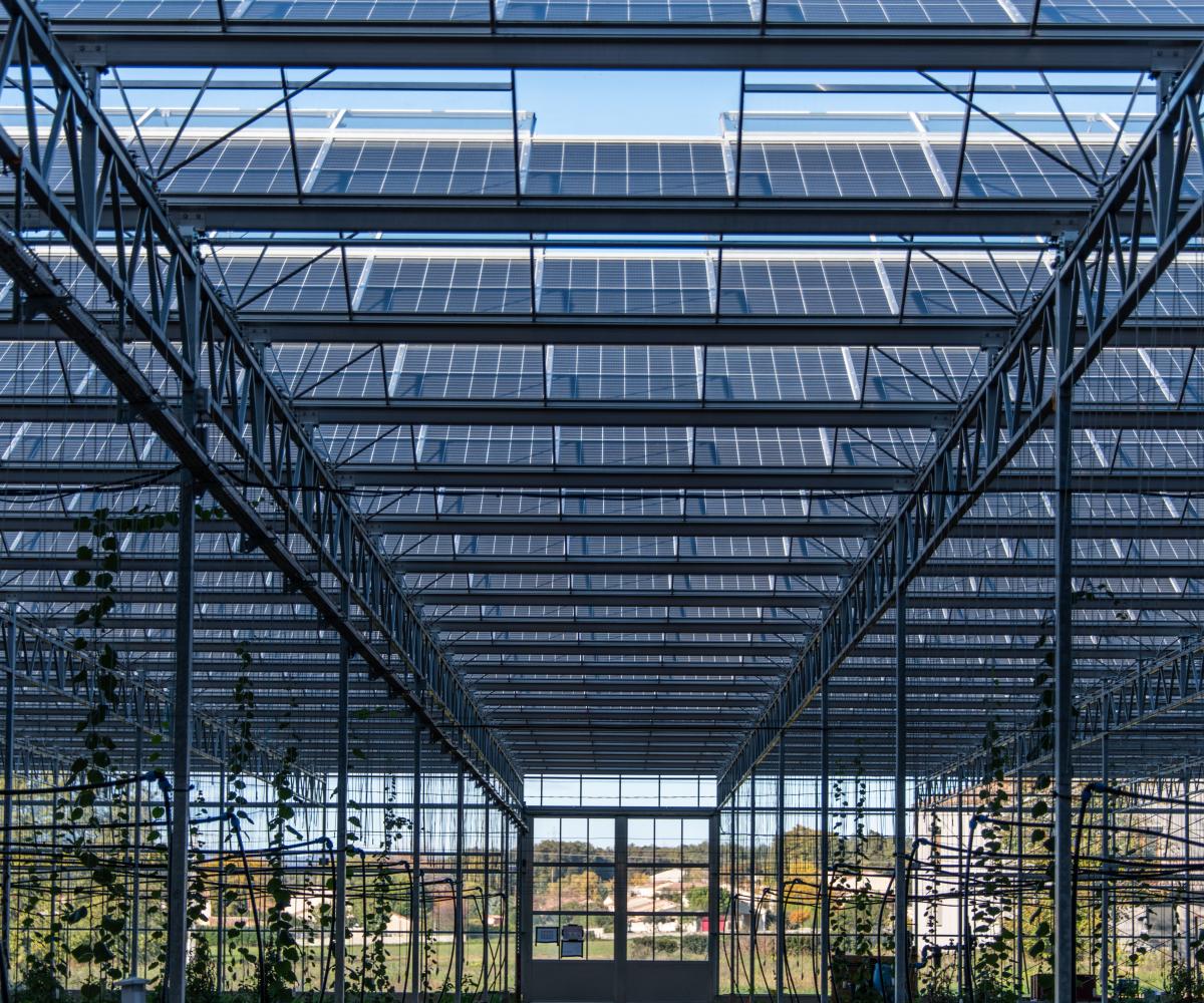 Serres photovoltaïques et Agrivoltaïsme - Panneaux solaires pour l'agriculture - Solutions d'énergies renouvelables pour les agriculteurs, industriels et collectivités