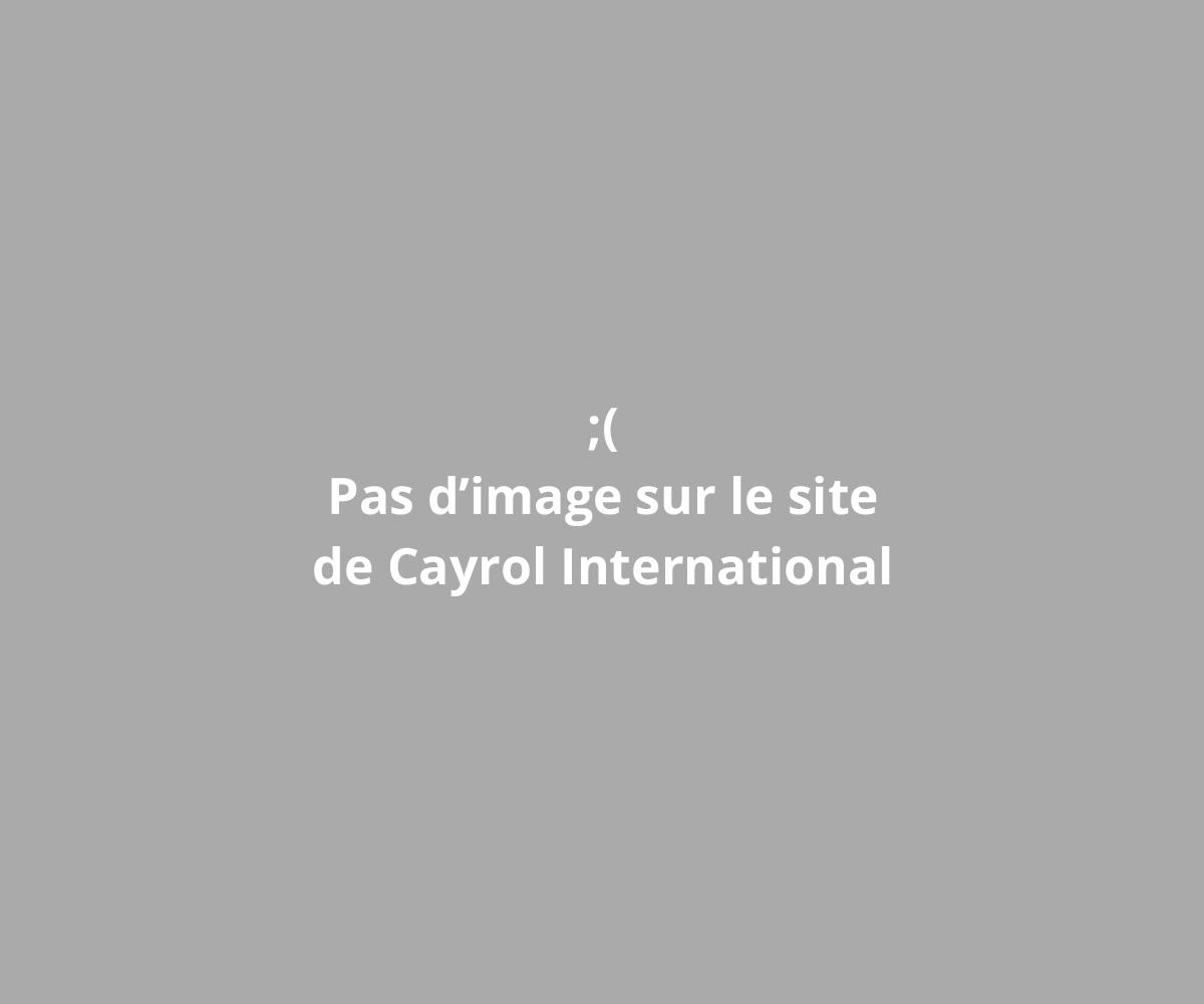 Toiture intégrée Toulouges