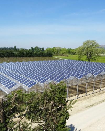 Agrivoltaïsme serre photovoltaïque et persiennes photovoltaïques - Panneaux solaires pour l'agriculture - Solutions d'énergies renouvelables pour les agriculteurs, industriels et collectivités