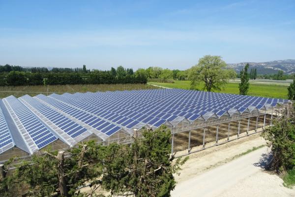 Agrivoltaïsme serre photovoltaïque et persiennes photovoltaïques - Panneaux solaires pour l'agriculture - Solutions d'énergies renouvelables pour les agriculteurs, industriels et collectivités